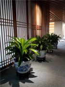 美人铁
