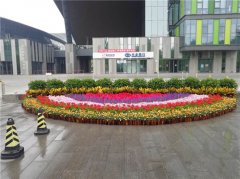 案例展示