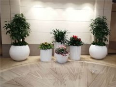 案例展示
